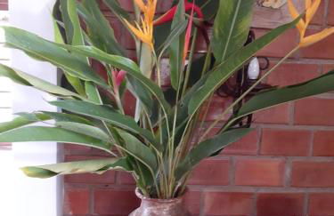 " Seu Cantinho" - Foto 19