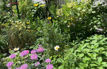 Ferienhaus Gumann - Foto 49