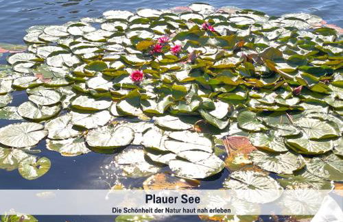 Wohlfühlparadies Moritz, Stuer - Strandnah am Plauer See mit Wlan und Parkplatz - Foto 39