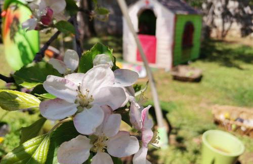 Va Kastav - Photo 38