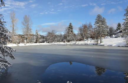 Ferienwohnung Seeblick mit Balkon - Mein Schwarzwaldhäusle - Foto 14