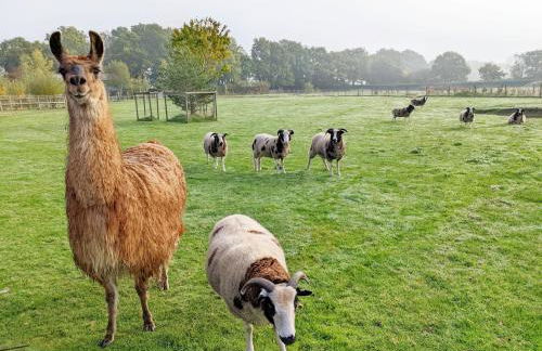 The Quail Cabin - Foto 20