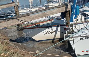 Ferienwohnungen am Aussendeich Wohnung 2 - Photo 30