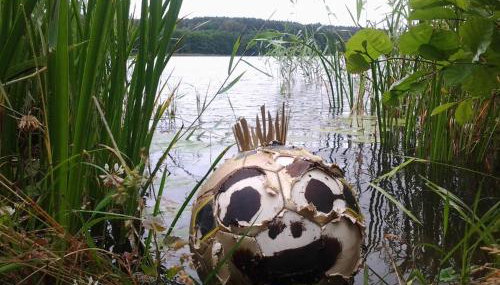 Domek nad jeziorem, a morze w gratisie - Foto 5