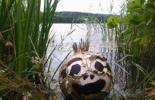 Domek nad jeziorem, a morze w gratisie - Foto 5