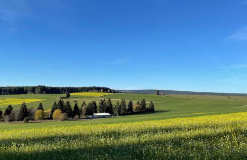 Apartment Flieder - F 96 by Interhome - Foto 80