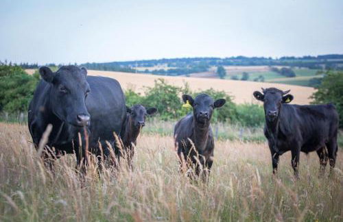 The Showman's Waggon - Foto 39