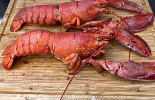 The Bamboo villa - Fraschetti Daniele - Foto 71