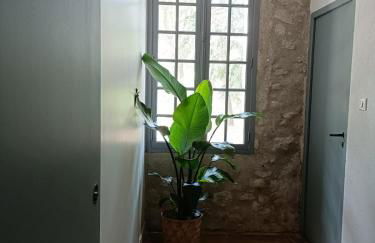 Le Moulin de La Grave - Lagrasse - Foto 34