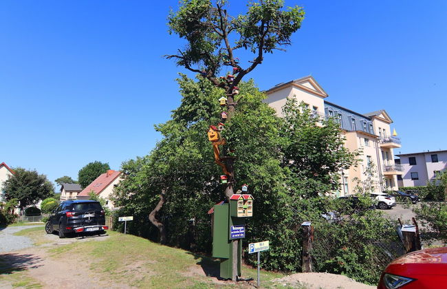 Apartment sea Noise, Ahlbeck - Foto 67