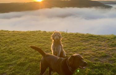 Chalet Lasserg - Foto 48