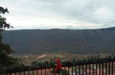 Άγρια Λούλουδα Κατοικία Ευτυχία - Photo 3