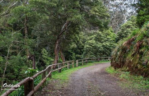 Casa Milhafre - Photo 43