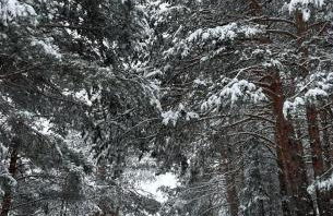 Casa Rural María Josefa - Foto 27