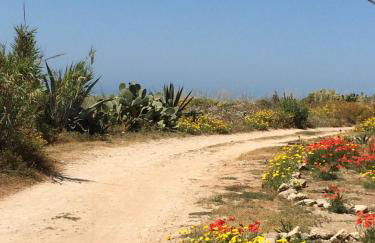 Residence Casa Del Mar Sicilia - Foto 46