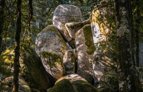 Ferienwohnung am Schwellenweiher - Foto 25