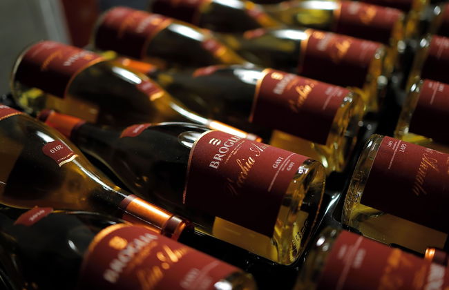 La Tenuta La Meirana - Foto 41