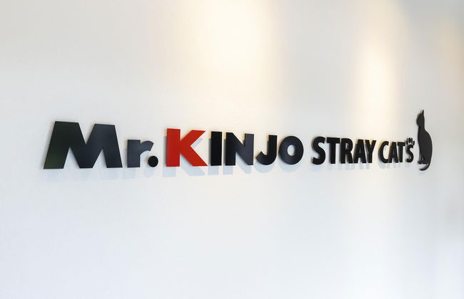 Mr.KINJO GRAND CATS - Foto 20