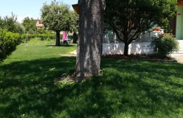 Franco house with pool - Foto 39