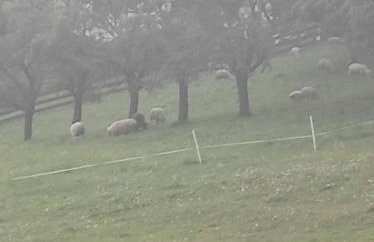 Baranie Wzgórze Ustroń Basen Sauna Plac Zabaw - Foto 29