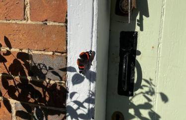 The Georgian Coach House:New Forest with hot tub - Foto 45