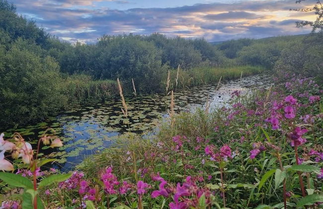 2 Bedroom Sleeps 4 Lodge-smart Tv-hot Tub-dogs Ok - Foto 16