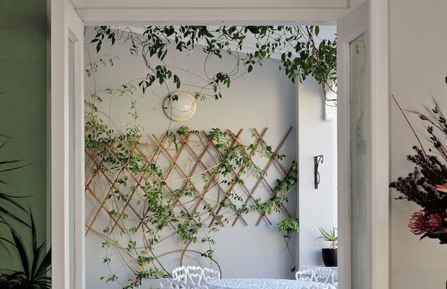 Barry Hall Apartments - Foto 34