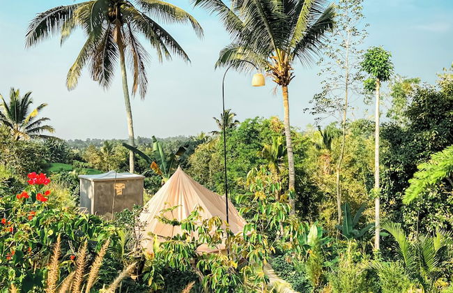 Kamanicamp - Foto 17