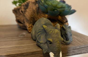 Jungle In The City ,Corfu - Kanoni - Foto 17