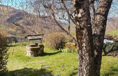 Nouveau - Maison Nierveze proche Lioran - Foto 19