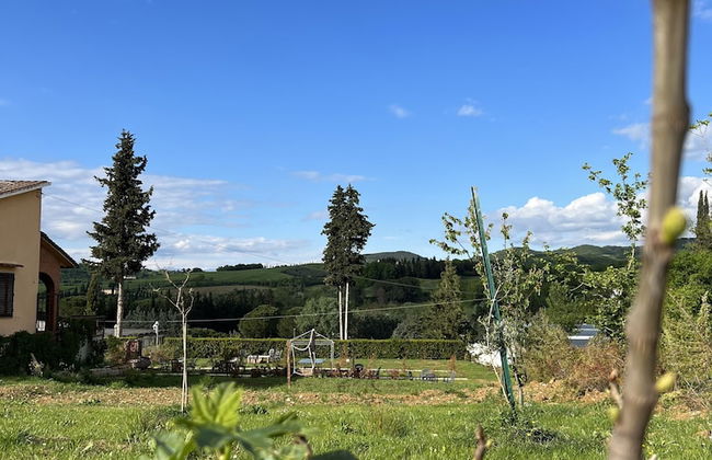 Ristorante Agriturismo La Palma - Foto 32