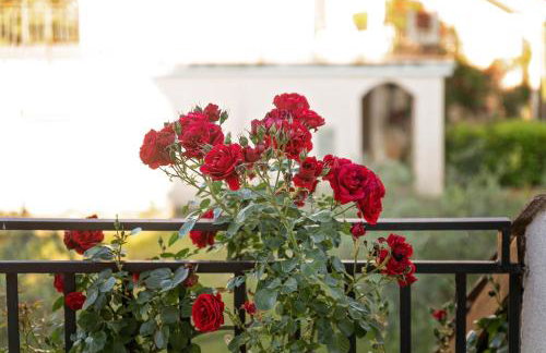 Red Apartment - Foto 24