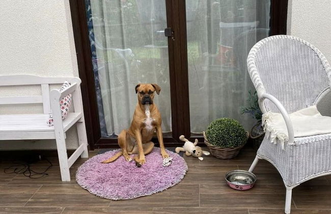 Holiday Home in Kolczewo Near Wild Beach - Foto 23