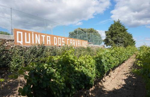 Quinta Dos Carvalhos - Foto 1