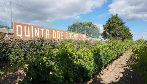 Quinta Dos Carvalhos - Foto 1