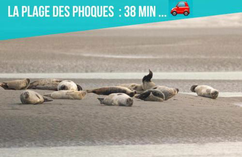 Les Pénates de Camiers - Foto 27