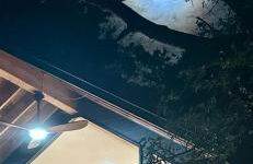 Modern Farmstay Cabin with Friendly Animals, Pond Views & Nature Trails Near Cedar Creek, Texas - Photo 59