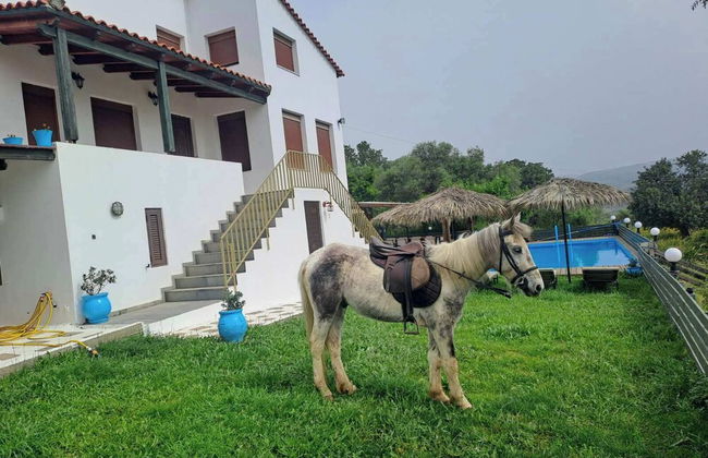 Villa Skantali - Foto 37