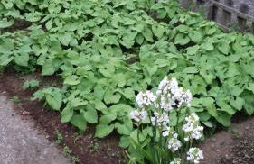 Casa do ti' Marrão - Photo 31