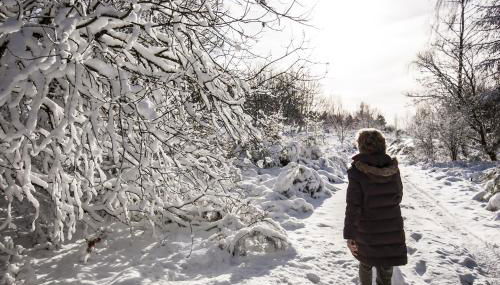 Haus Alleegarten - Photo 4
