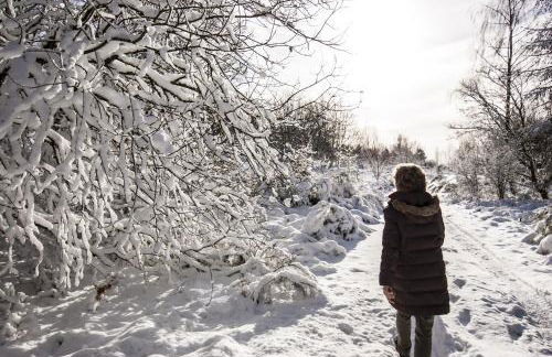 Haus Alleegarten - Photo 4