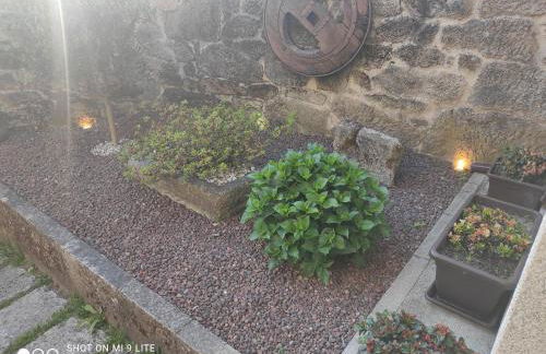 CASA BOREAL - Foto 12