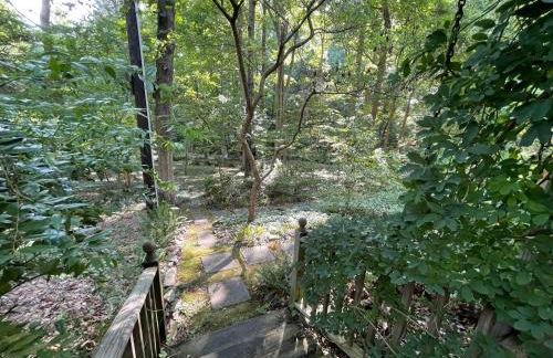 Mary's Place - Studio surrounded by nature but close to High Point - Photo 8