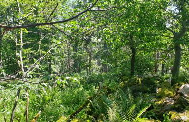 Studio Kaline - Foto 34