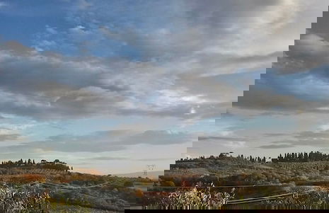 Il Poggiarello Toscano - Photo 36