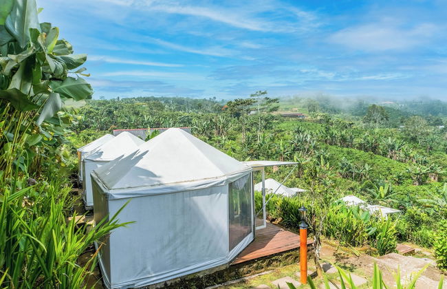 Alam Kita Glamping & Plantation - Foto 9