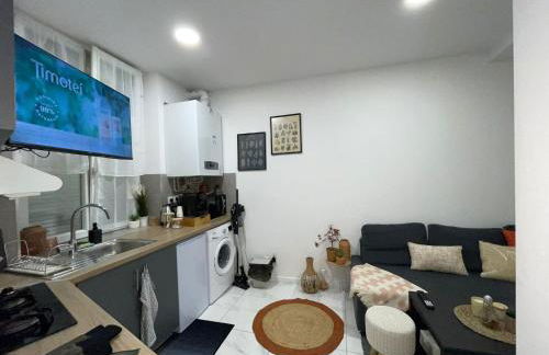 appartement entier sur Reims - 4 Voyageurs - Foto 68