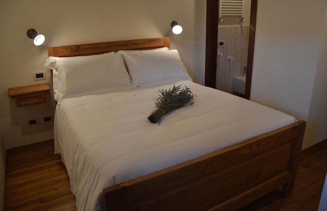 Fattoria Lucciano - Foto 12