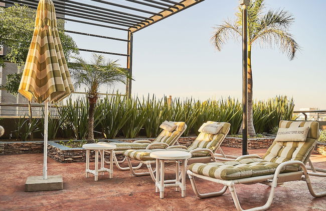 Dodo Horizontes Chapultepec - Foto 33