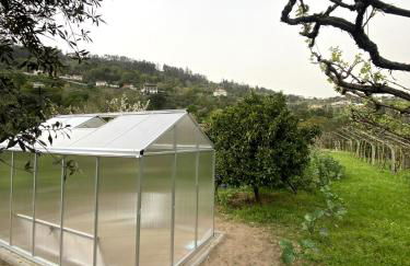 Quinta do Rio Douro - Turismo Rural - Foto 36